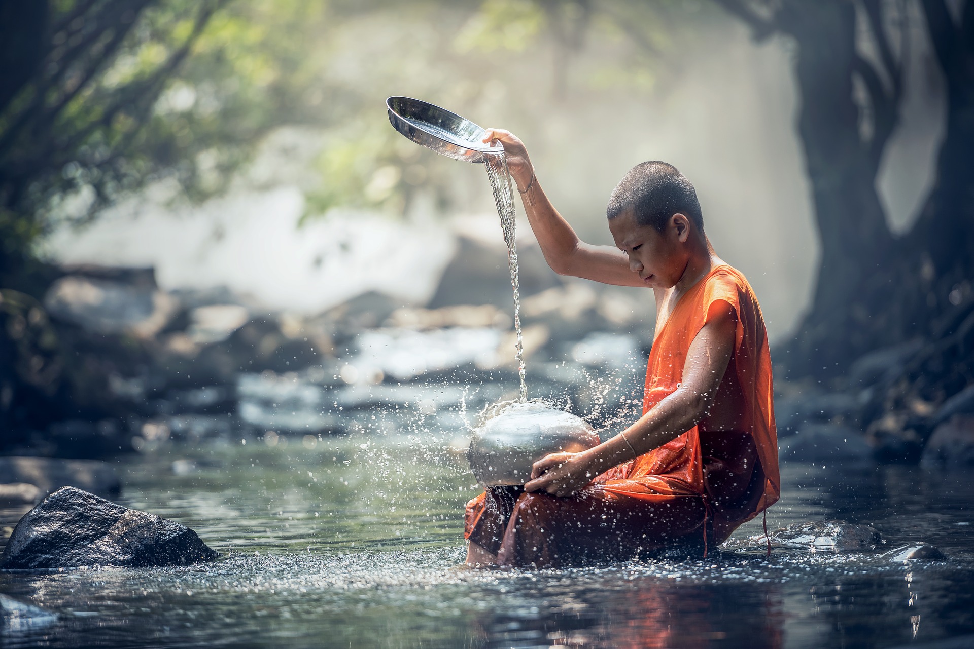 ©Sasin Tipchai